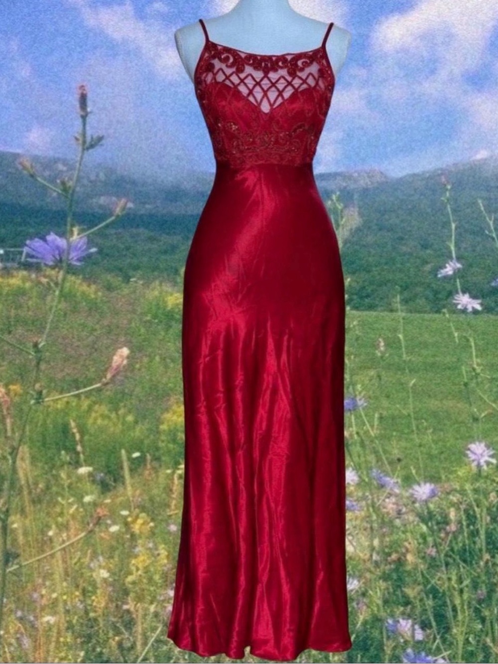 Elegant Red Lace Bodice Evening Dress